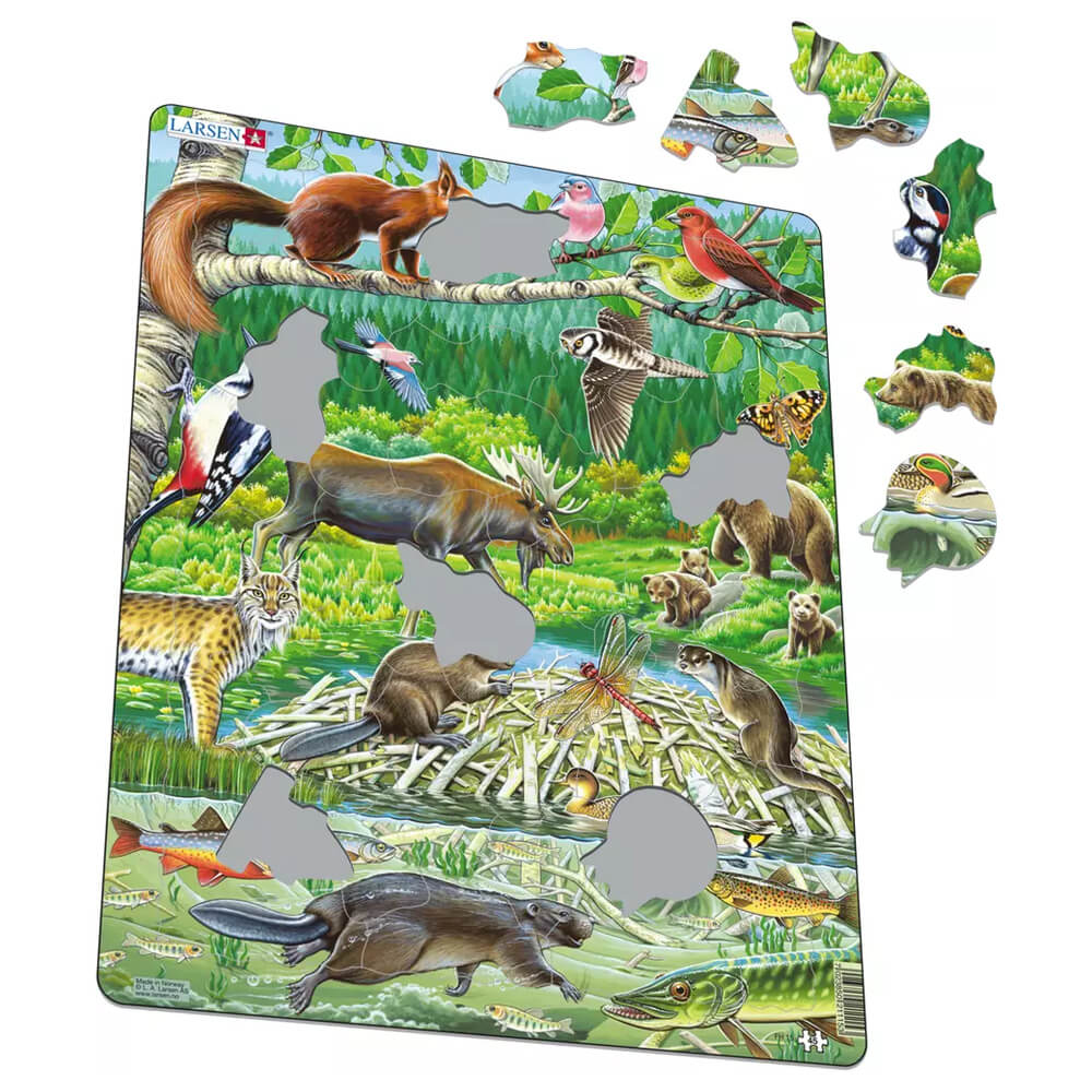 Puzzles d'animaux pour les enfants de 4 ans et plus, forêt tropicale  Dauphin Prairie En forme d'animal Puzzles Pièces irrégulières uniques  Cadeau pour garçons Fille Anniversaire Noël